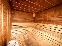 özel-tasarım-sauna-yapımı